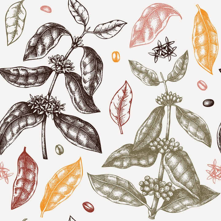 Hand sketched coffee plant seamless pattern. Vector background with hand drawn leaves, flowers, beans and fruits illustrations. For packaging, wrapping paper, brands, fabrics.